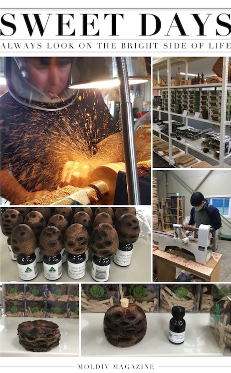 BANKSIA GIFT AUSTRALIA 제품